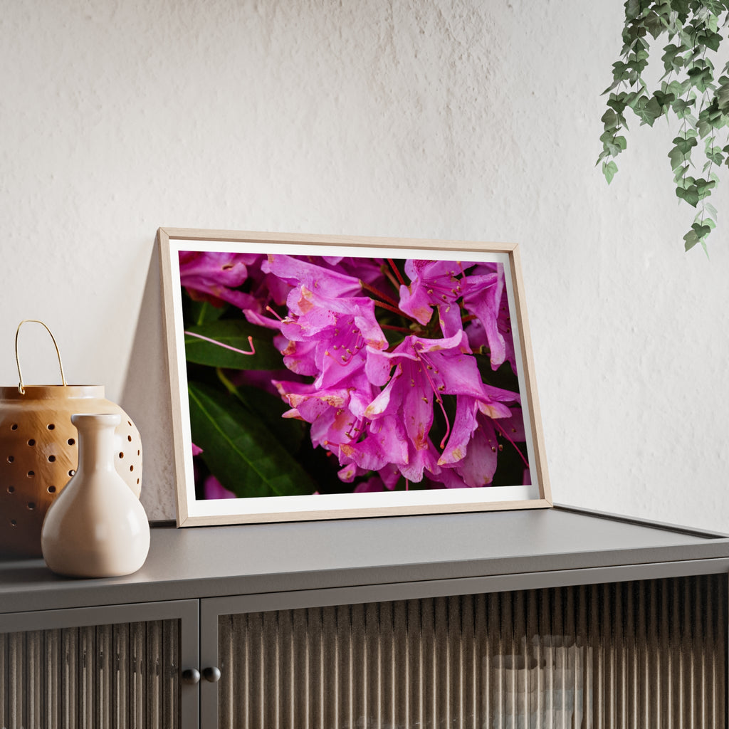 Framed Pink Rhododendron Poster — Floral Wall Art with Wooden Frame