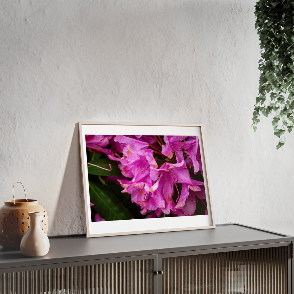Framed Pink Rhododendron Poster — Floral Wall Art with Wooden Frame