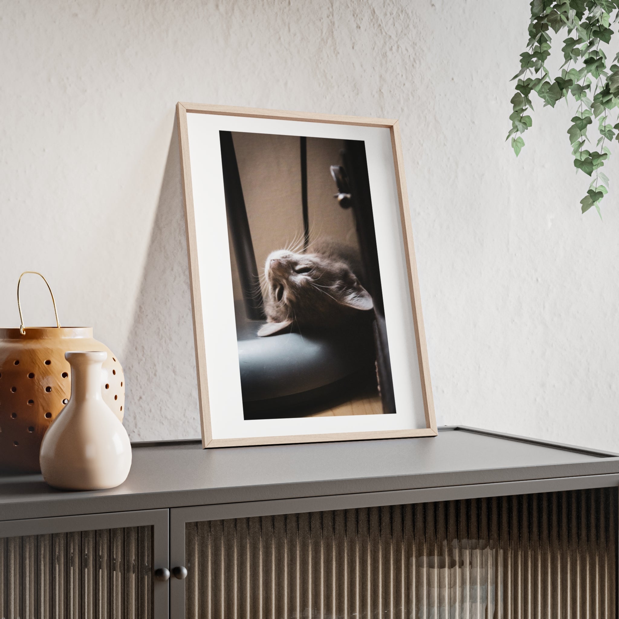 Framed Cat Photo Poster — Relaxing Nap Wall Art