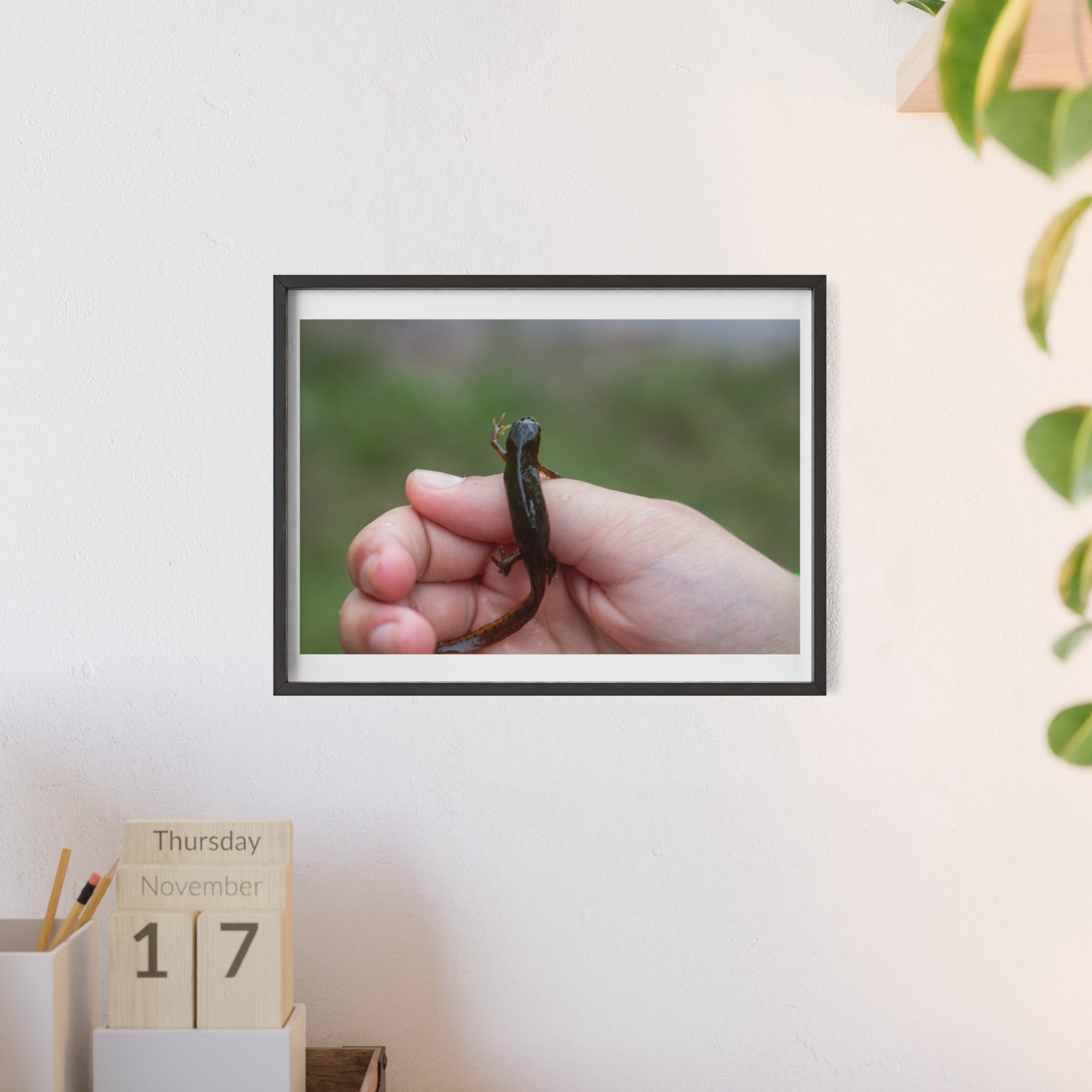 Framed Wildlife Photo Poster — Child Holding Newt