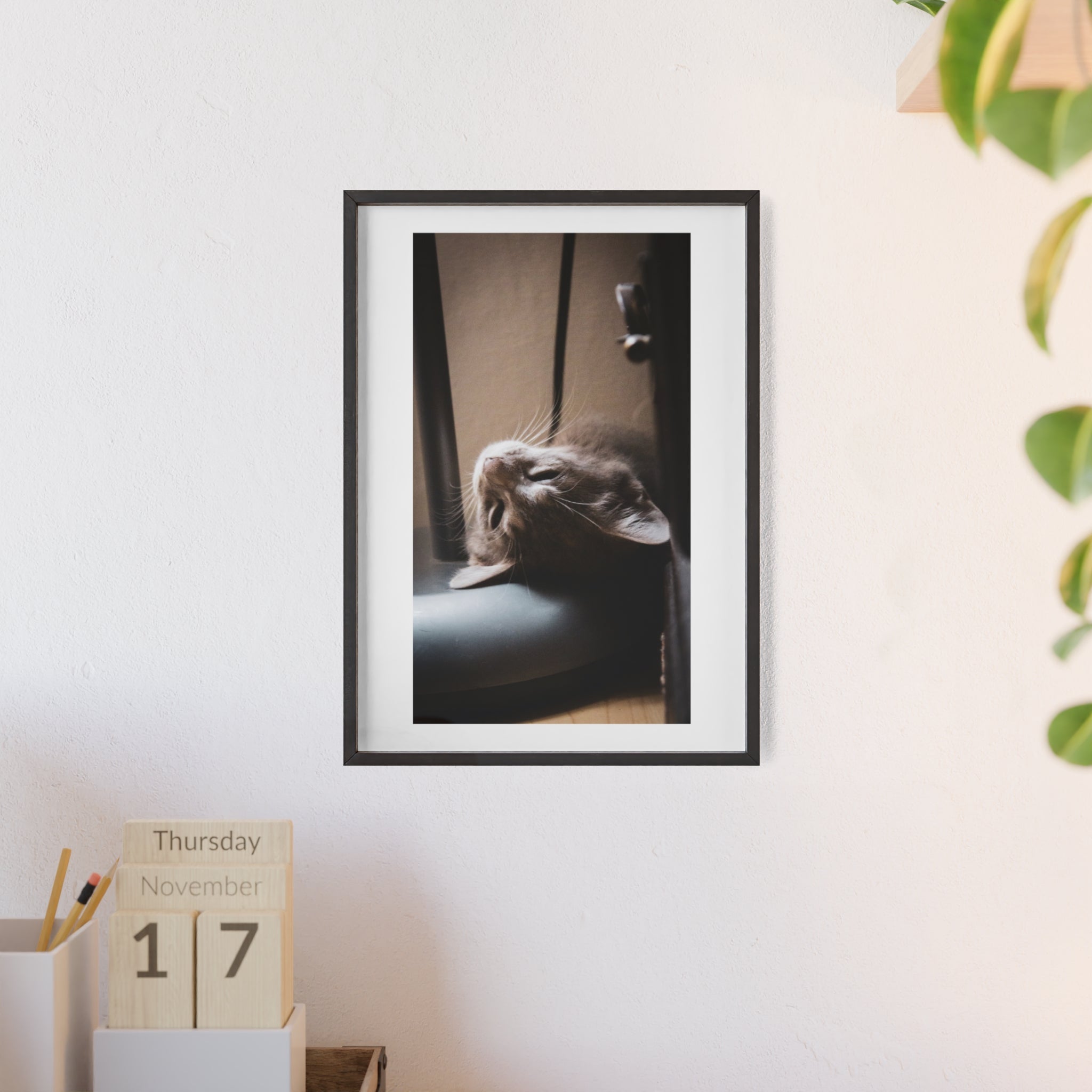 Framed Cat Photo Poster — Relaxing Nap Wall Art