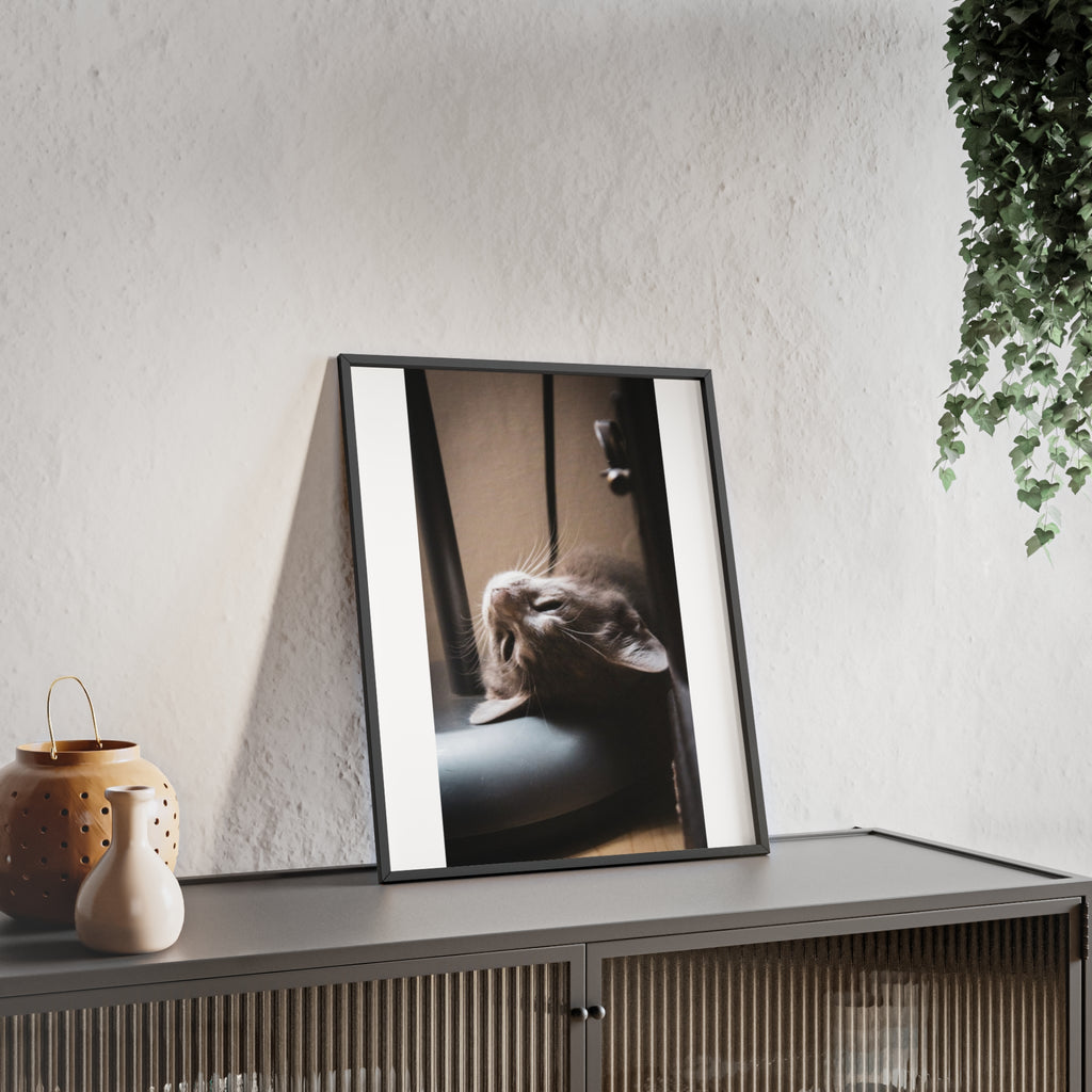 Framed Cat Photo Poster — Relaxing Nap Wall Art