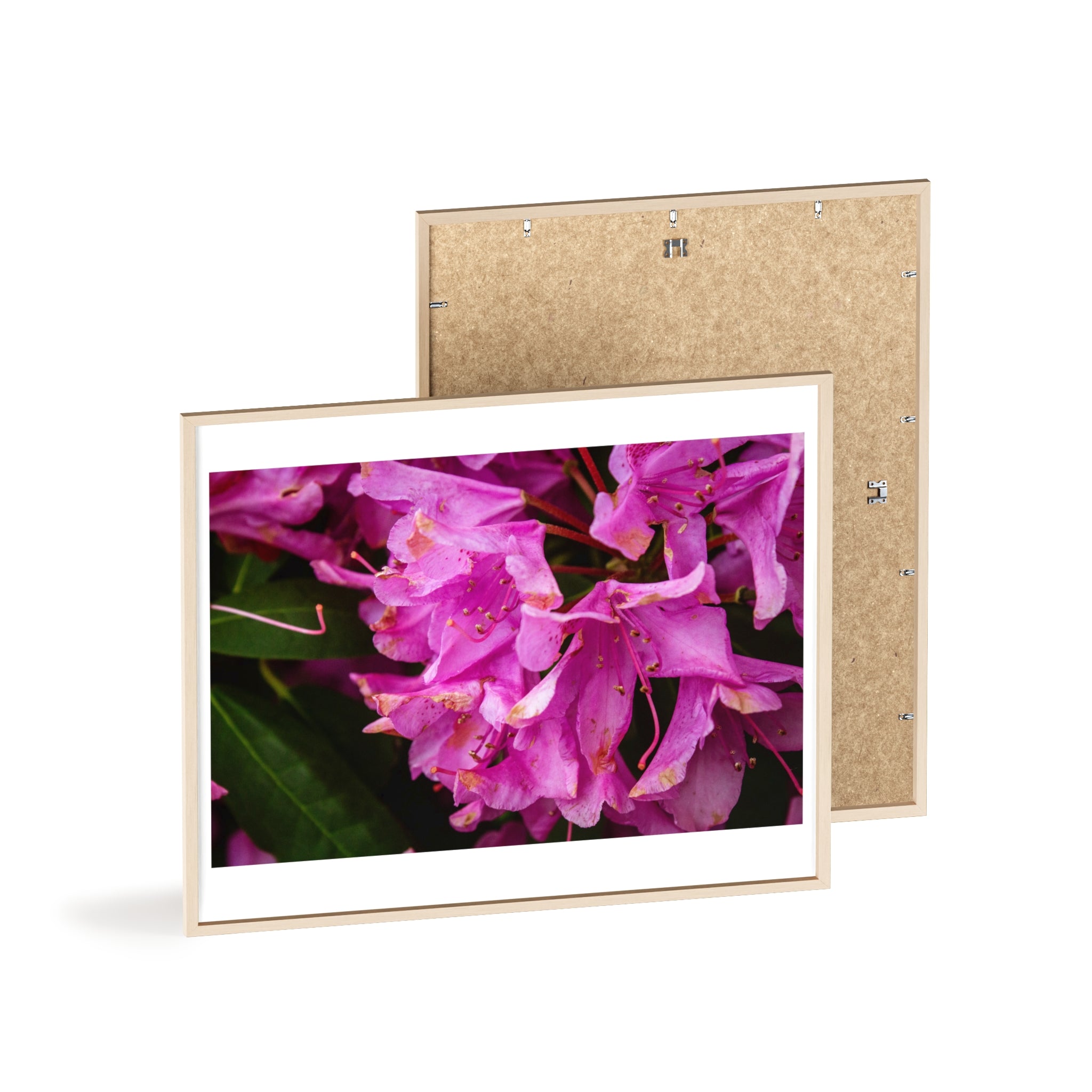 Framed Pink Rhododendron Poster — Floral Wall Art with Wooden Frame