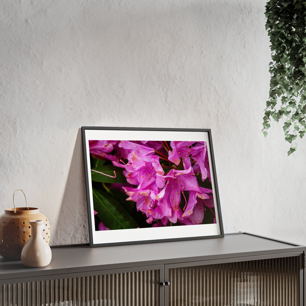Framed Pink Rhododendron Poster — Floral Wall Art with Wooden Frame