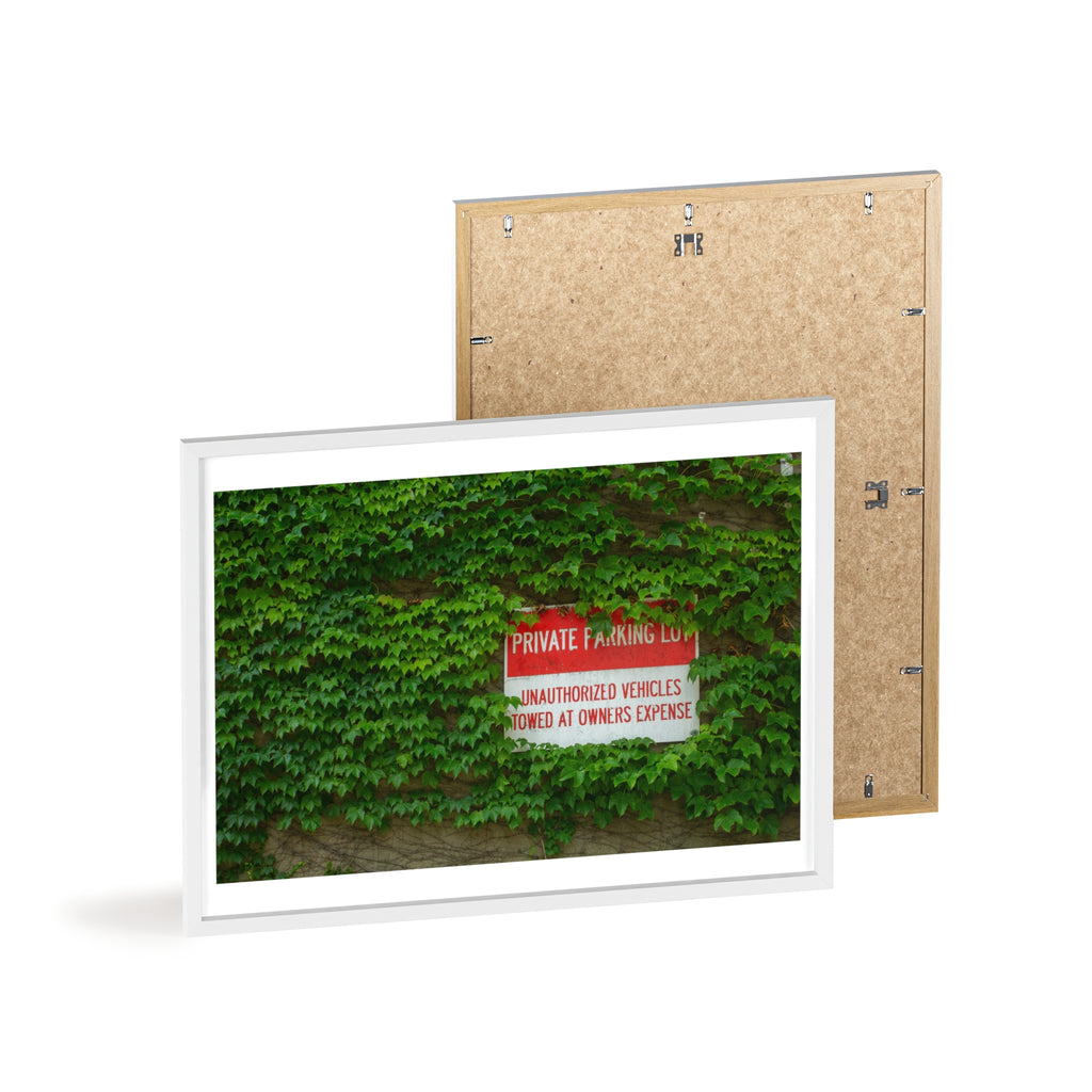 Ivy-Covered Wall Poster with Wooden Frame — “Private Parking” Vintage Sign Art