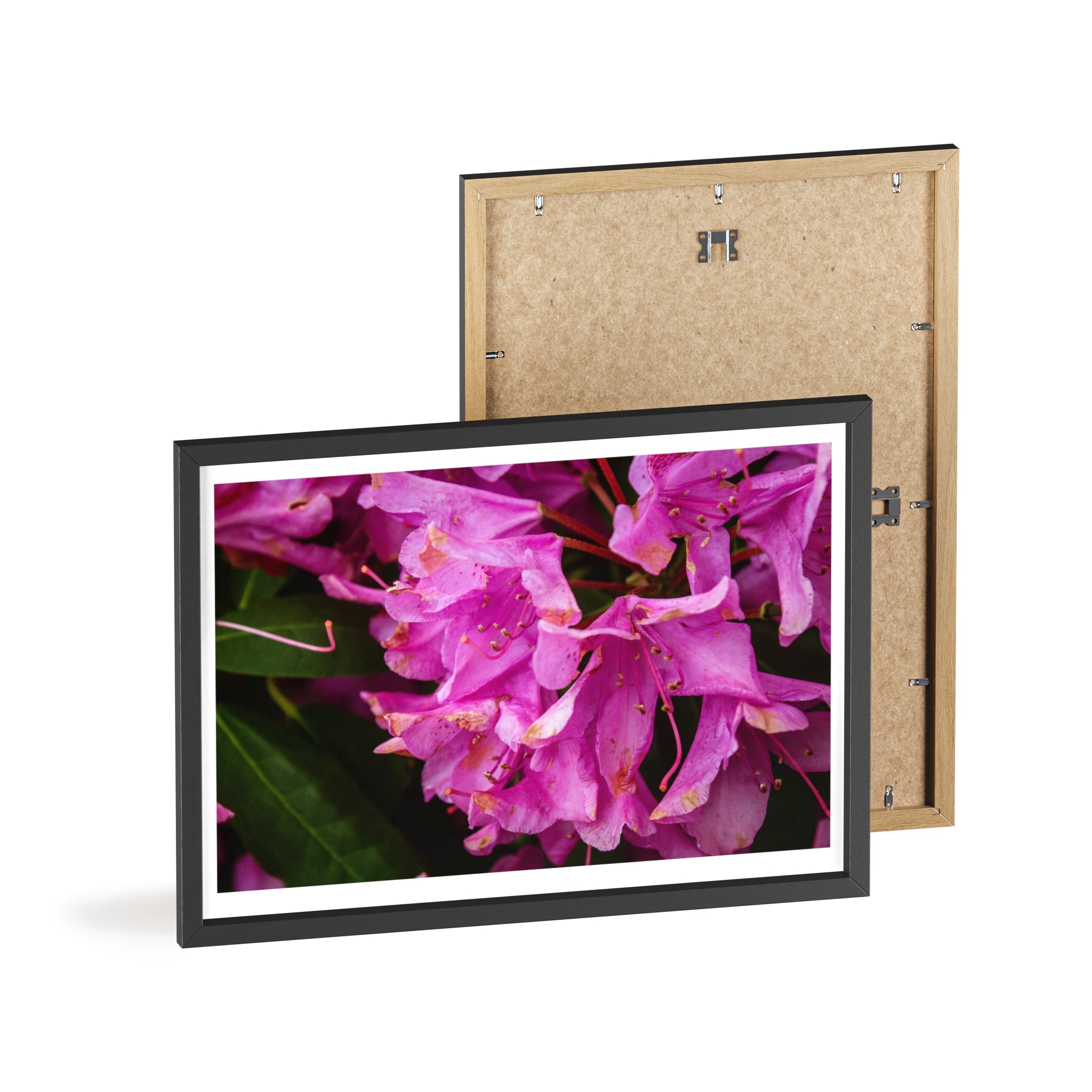 Framed Pink Rhododendron Poster — Floral Wall Art with Wooden Frame