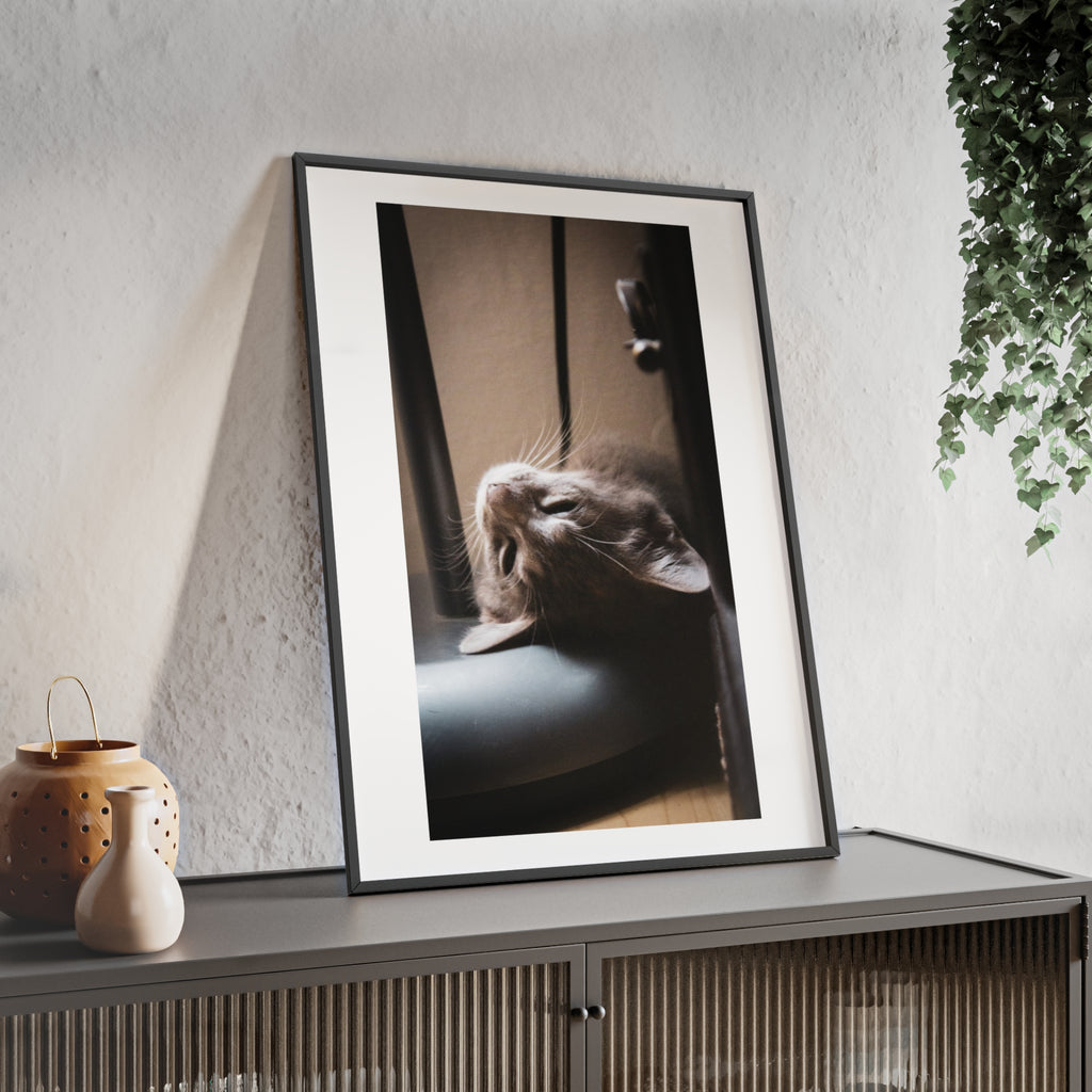 Framed Cat Photo Poster — Relaxing Nap Wall Art