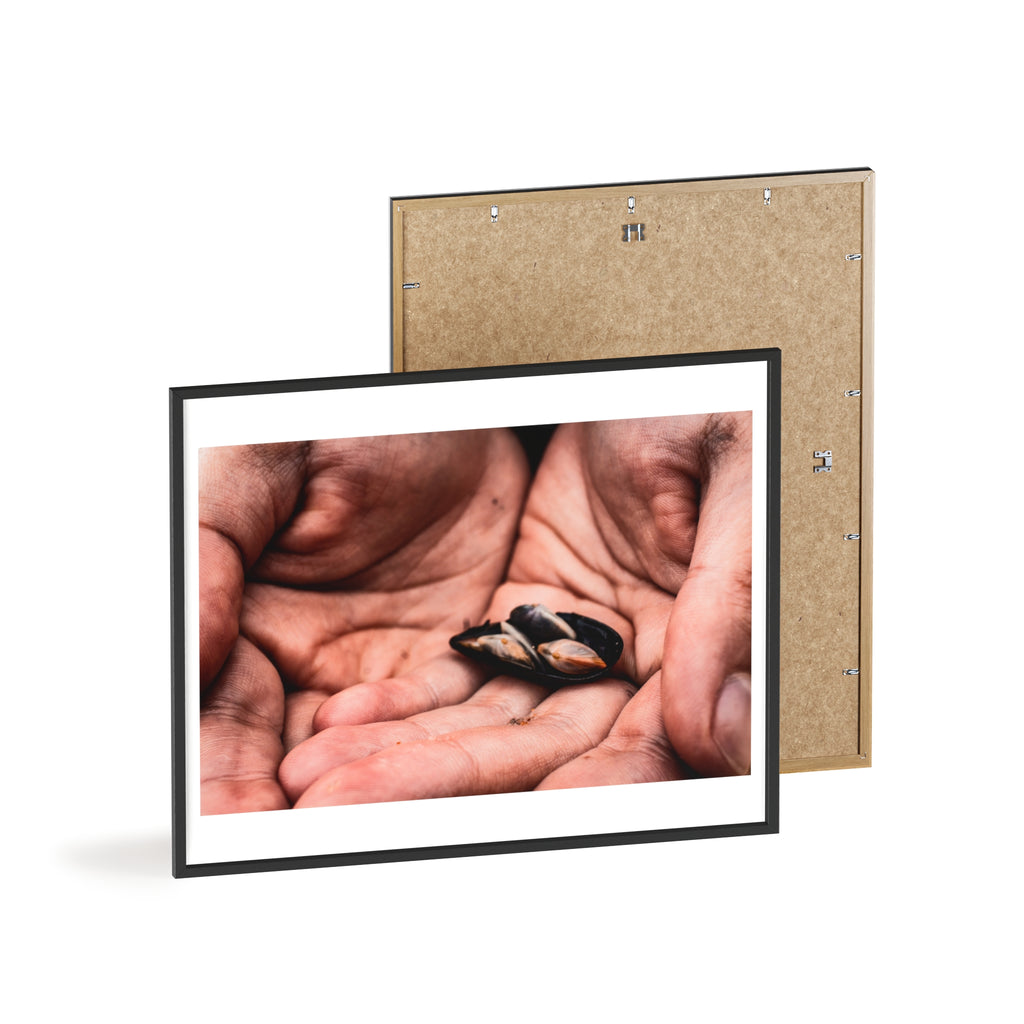 Framed Hands & Shells Art Print — Rustic Botanical Wall Poster