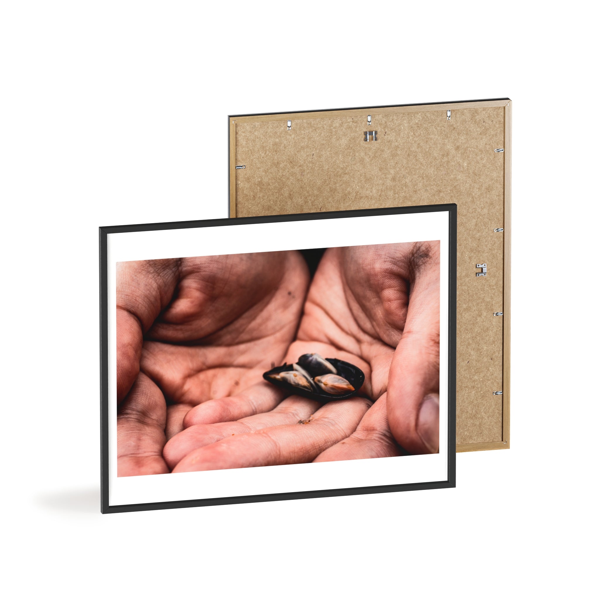 Framed Hands & Shells Art Print — Rustic Botanical Wall Poster
