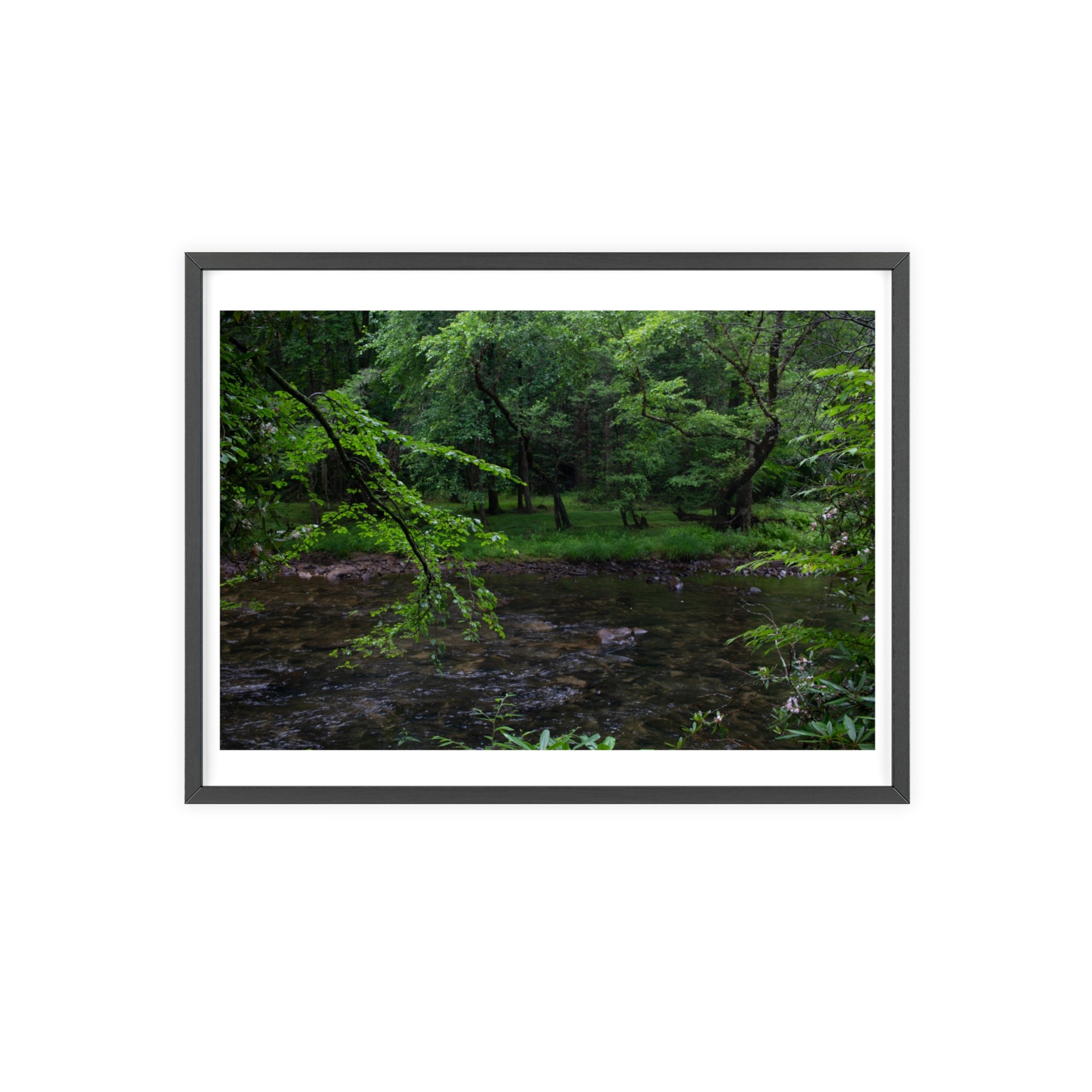 Framed photograph of a forest scene with a stream