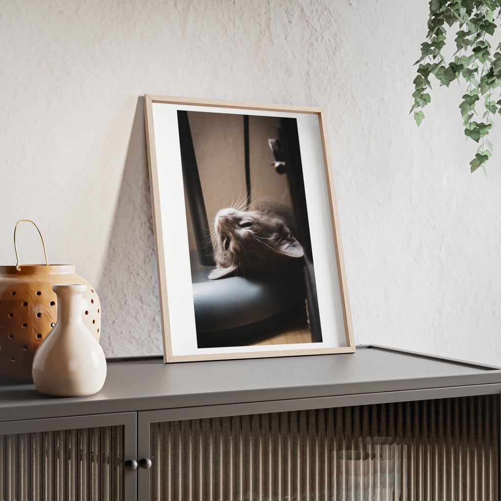 Framed Cat Photo Poster — Relaxing Nap Wall Art