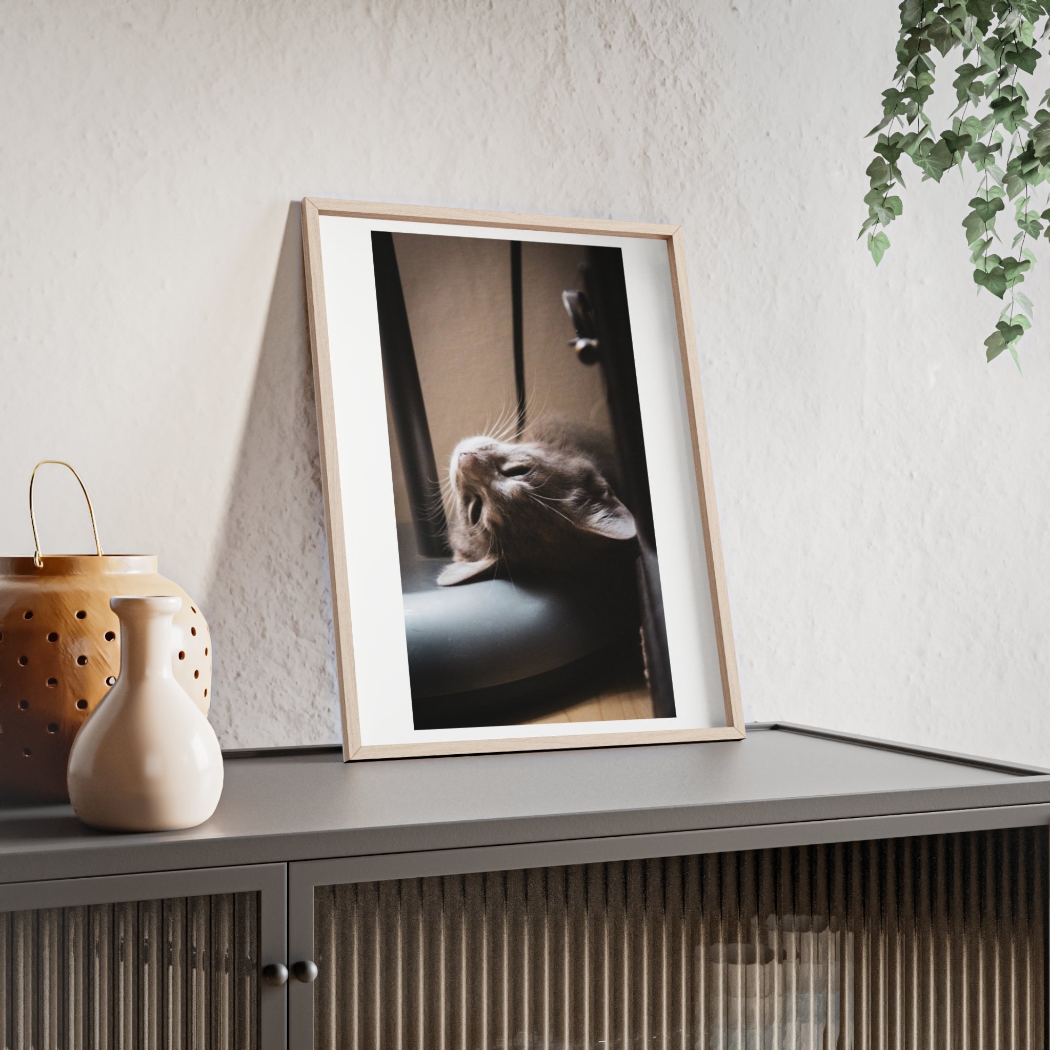 Framed Cat Photo Poster — Relaxing Nap Wall Art