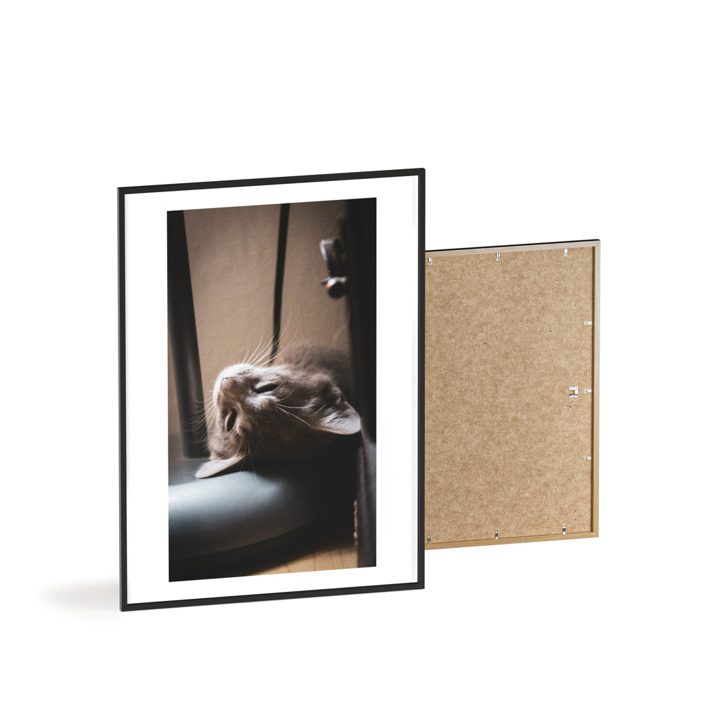 Framed Cat Photo Poster — Relaxing Nap Wall Art