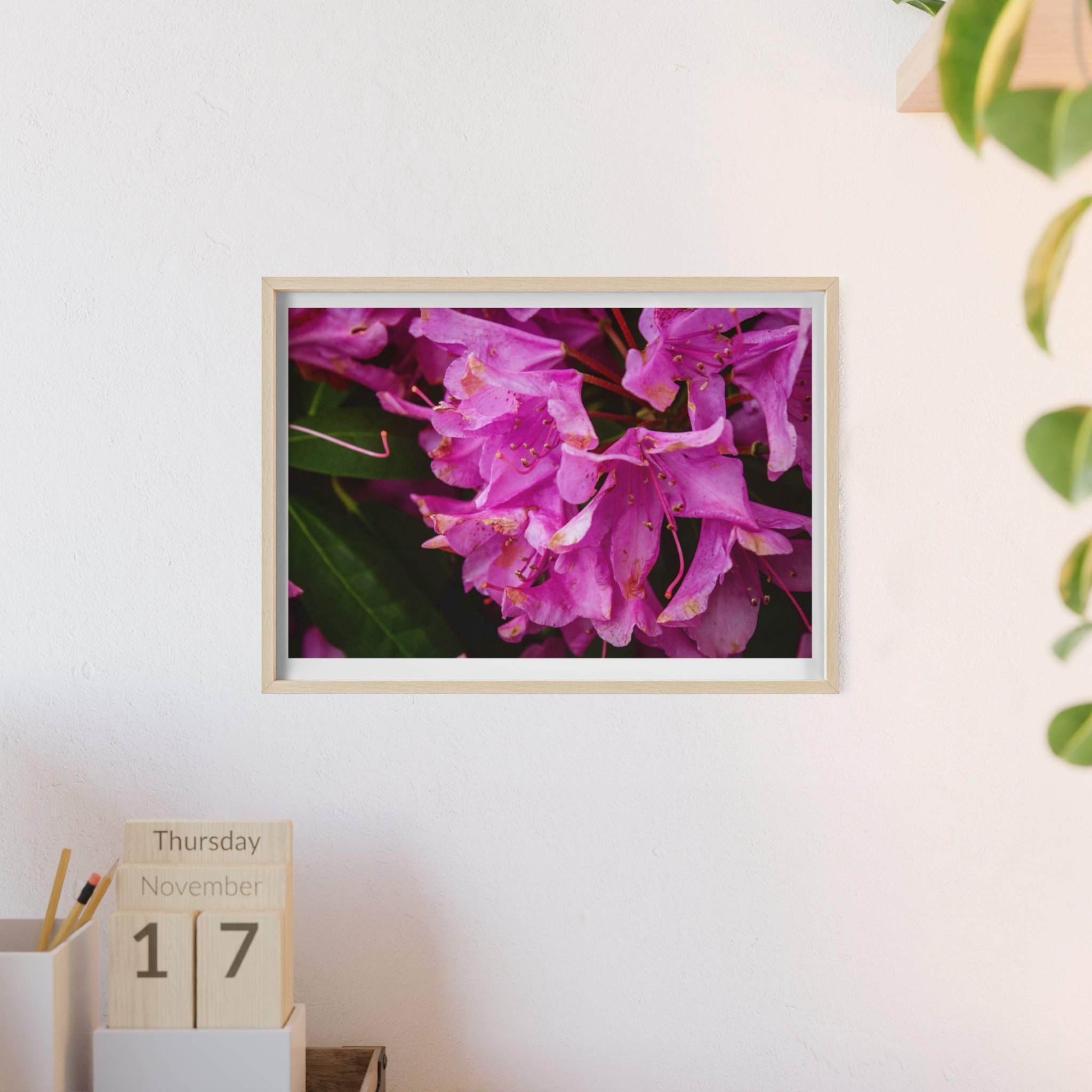 Framed Pink Rhododendron Poster — Floral Wall Art with Wooden Frame