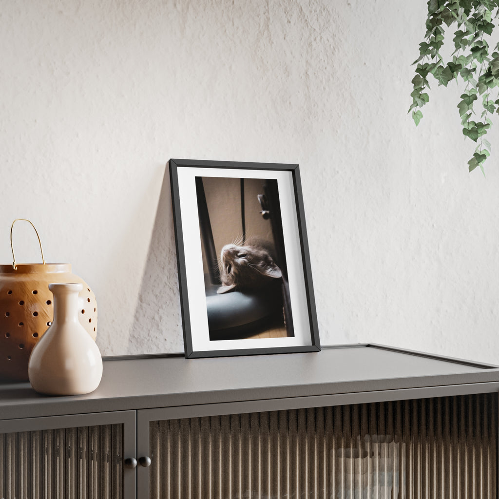 Framed Cat Photo Poster — Relaxing Nap Wall Art